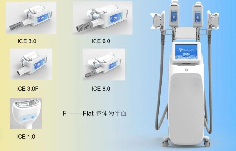 Four Treatment Handles Fat Reduction Weight Loss Coolplas Machine