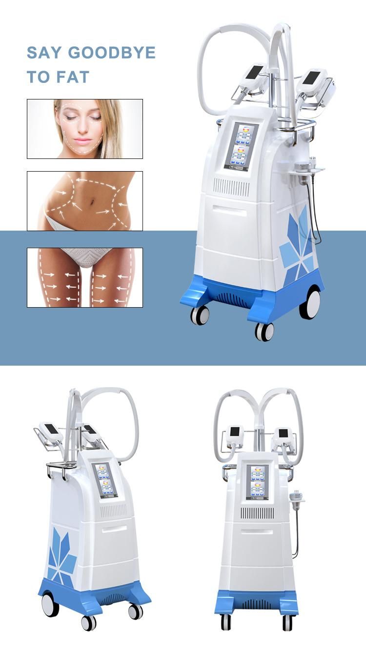 Cryoslim with Cacuum for Body Slimming Cryo Cool Slimming Machine Brg80 6s