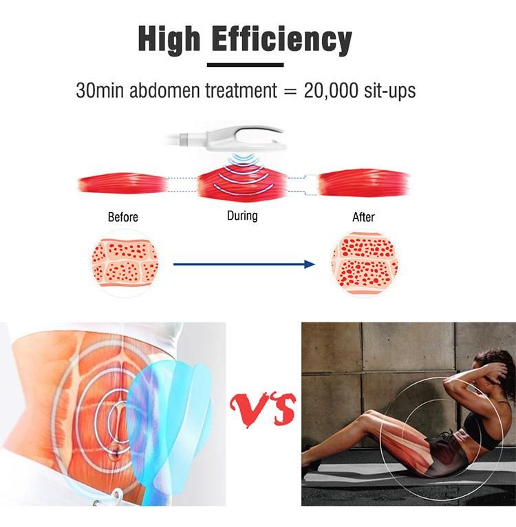 4 Handles 2 in 1 Emslim 360° Fat Freezing Machine