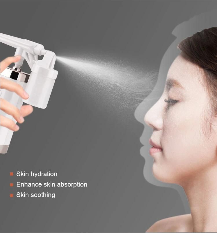 Portable Mist Sprayer Facail Steamer Oxygen Injection Instrument