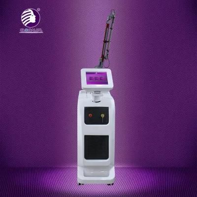 Beauty Salon Machine ND YAG Laser Tattoo Removal Skin Rejuvenation with Ce Certificated