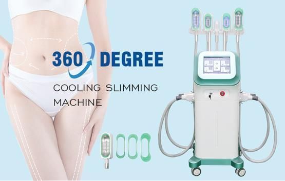 Cryo360 Cryolipolysis Machine Price/Fat Removal Machine Cryolipolysis/Cryolipolysis Slimming Machine Fat Freezing