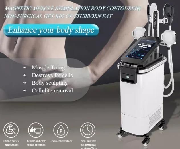 Best 10 Tesla EMT Neo RF Tesla Sculpt EMS Belly Fat Burning Muscle Sculpt Machine 4 Handles