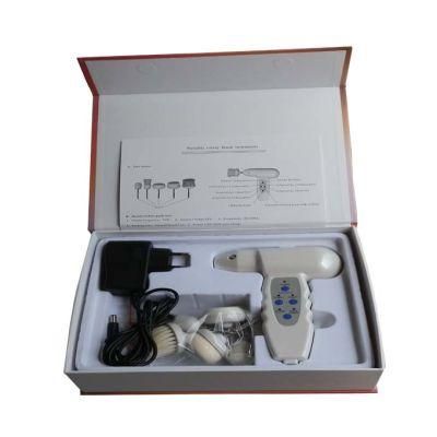 Portable Rotary Brush Instruments (LW-019)