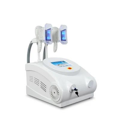 Popular Portable Slimming Machine Fat Freeze Technique Cryolipolysis System