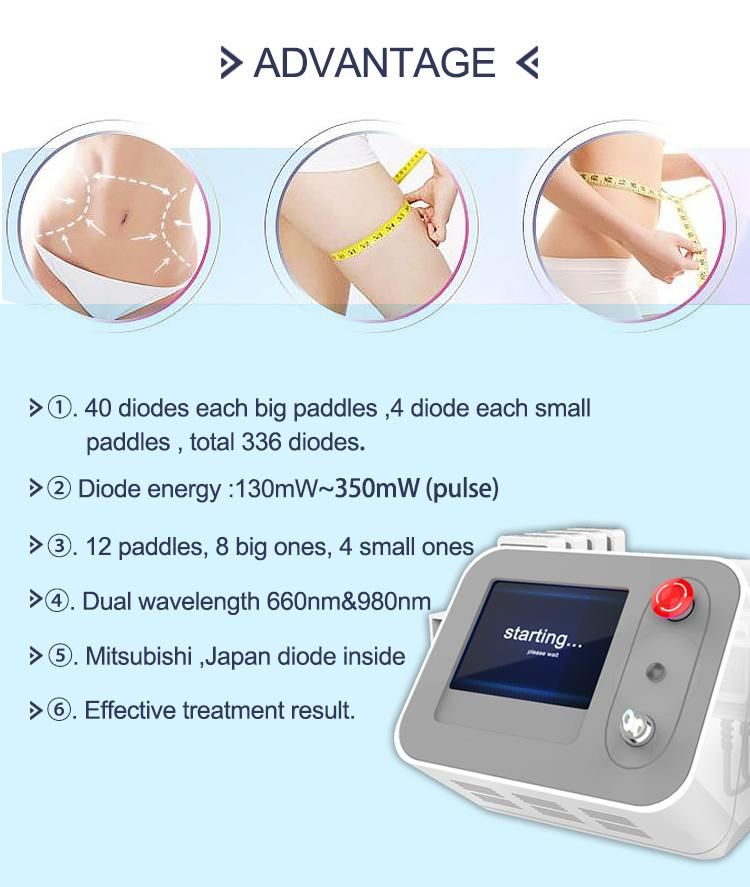 Mitsubishi Lipo Laser for Cellulite Reduction Laser Beauty Machine