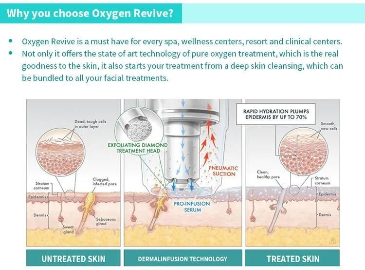 V-Professional Oxygen Spray Vitamins LED Therapy System Microdermabrasion Facial Machine