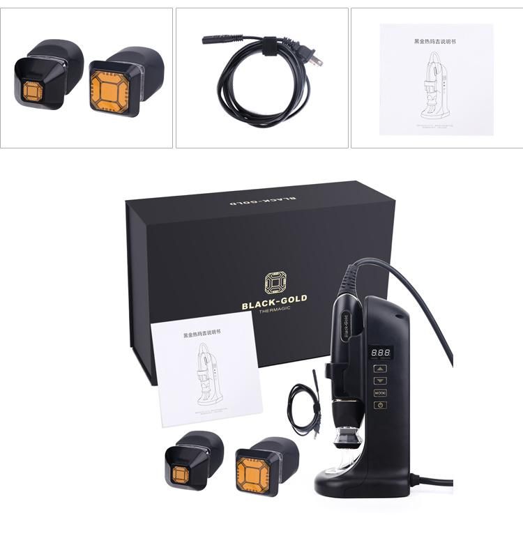 Home Use Fractional RF Thermagic Skin Tightening Beauty Machine