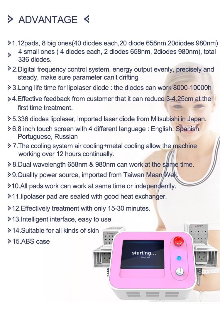 Mitsubishi Lipo Laser for Cellulite Reduction Laser Beauty Machine