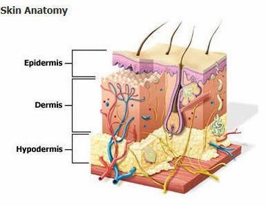 painless hair removal wax making machine for facial remover