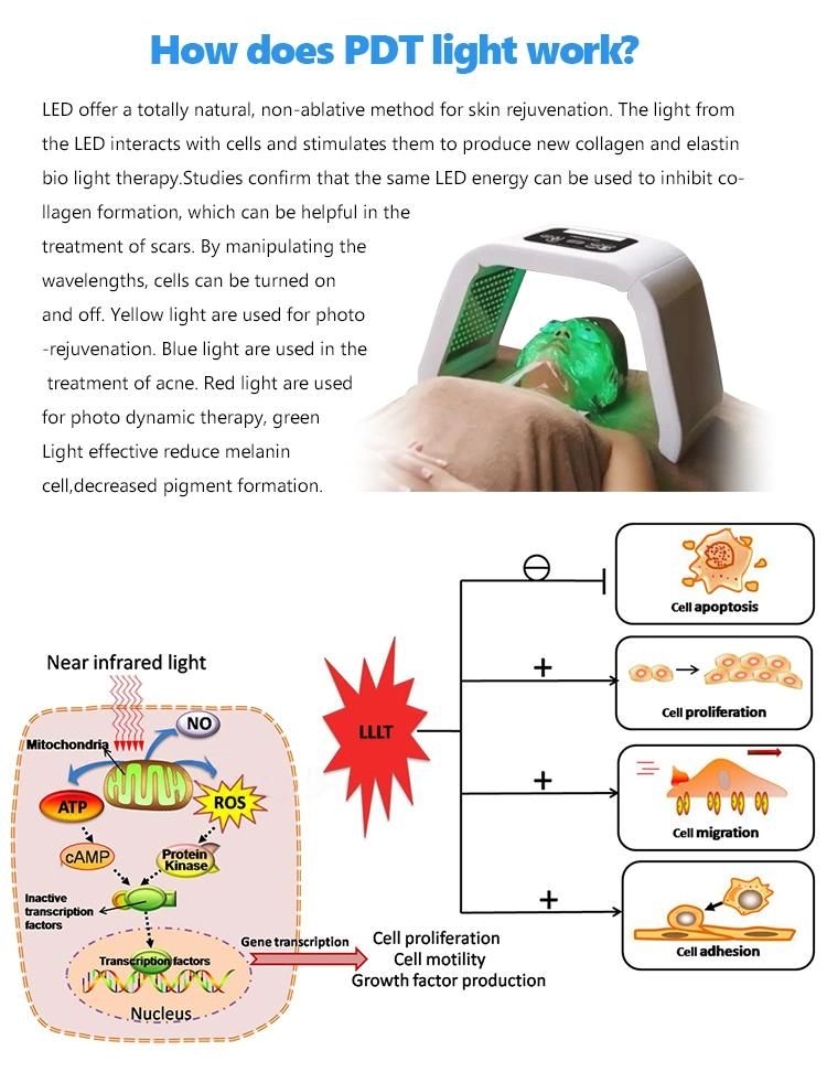 New Foldable Design PDT Photon LED Light Therapy for Acne Removal with FDA