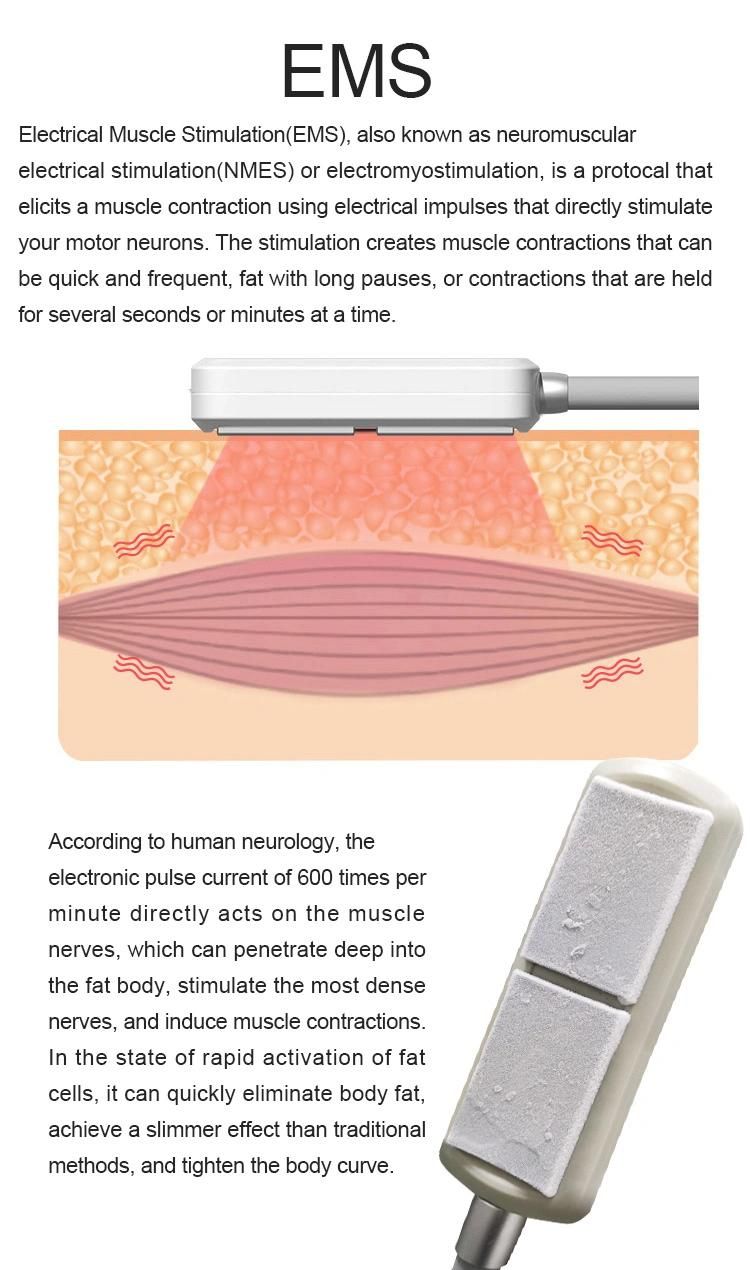 Effective Body Cryolipolysis Pads Cryotherapy Beauty Machine with EMS Slimmming