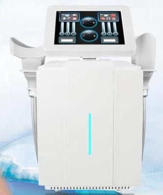 360 Cover Cryotherapy Cold Fat Removal Weight Loss Diamond Ice Sculpture Coolplas Machine
