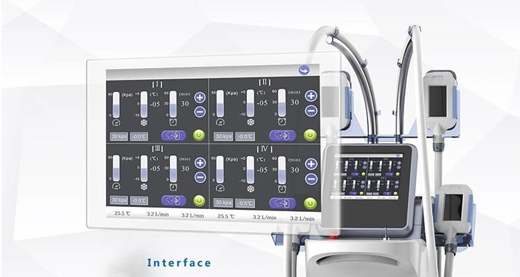 4 Handles Fat Freezing Machine Cryolipolysis Slimming Machine for Clinic