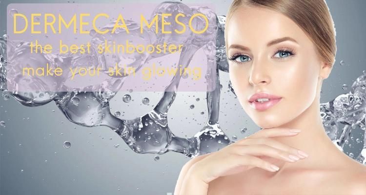 Dermeca Noncrosslinked Hyaluronic Acid Gel Anti-Aging Meso Filler 1ml Serum Hyaluronate Acid Dermal Mesotherapy Skin Rejuvenation Solution for Face Body Eye