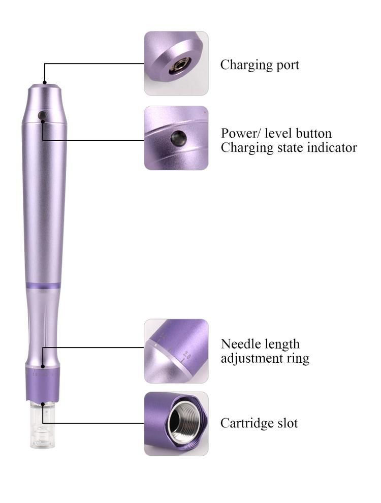 H3+ Derma Pen Home Use Screw Port Derma Pen Micro Needling Electric Dermapen