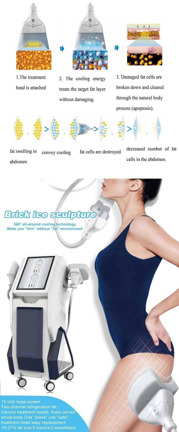 2022 New Products Cryolipolysis Slimming Machine Fat Freezing Machine