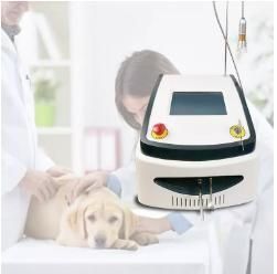 Yaser Diode Laser 1064nm Machine 980nm Laser Machine Veterinary Physiotherapy Equipment Vet Laser