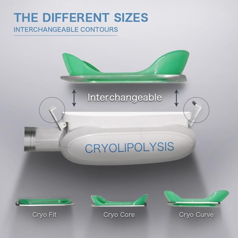 Portable 360 Cryo Cryolipolyse Cryotherapy Slimming Machine Portable / Criolipolisis Machine