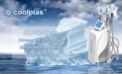 4 Handles Cellulite Reduction Skin Tightening Weight Loss for Commercial Stubborn Fat Freezing Cryolipolisis