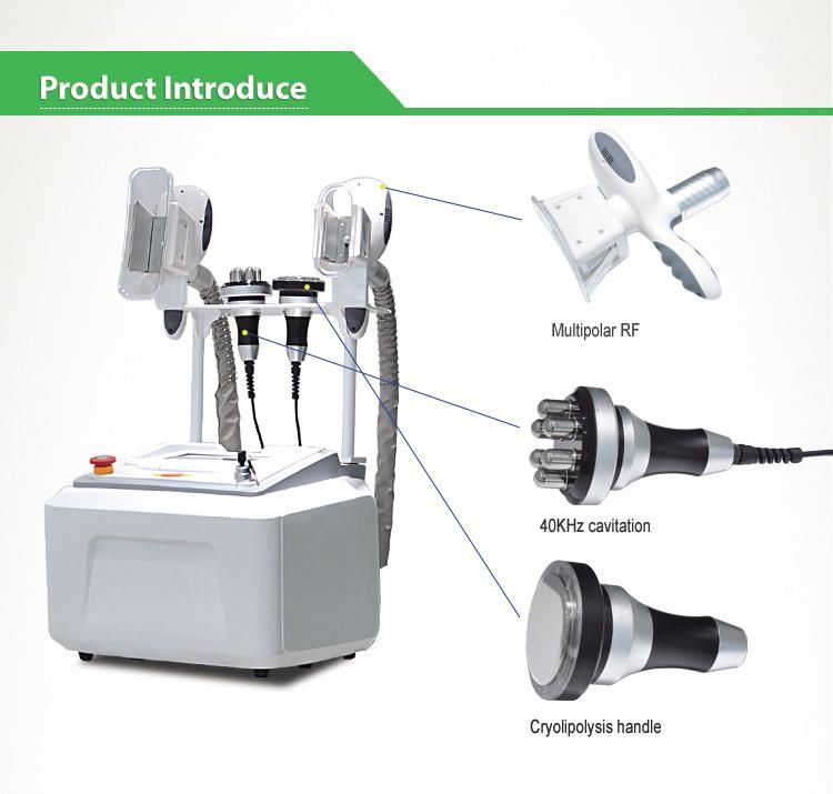 Factory Sale Cryolipolysis Machine Fat Freezing Slimming Machine