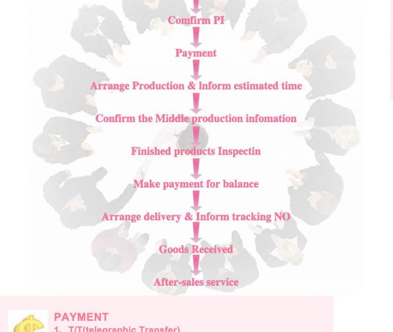 PDT Photon System and Bio Electric Tips Beauty Equipment Sk9