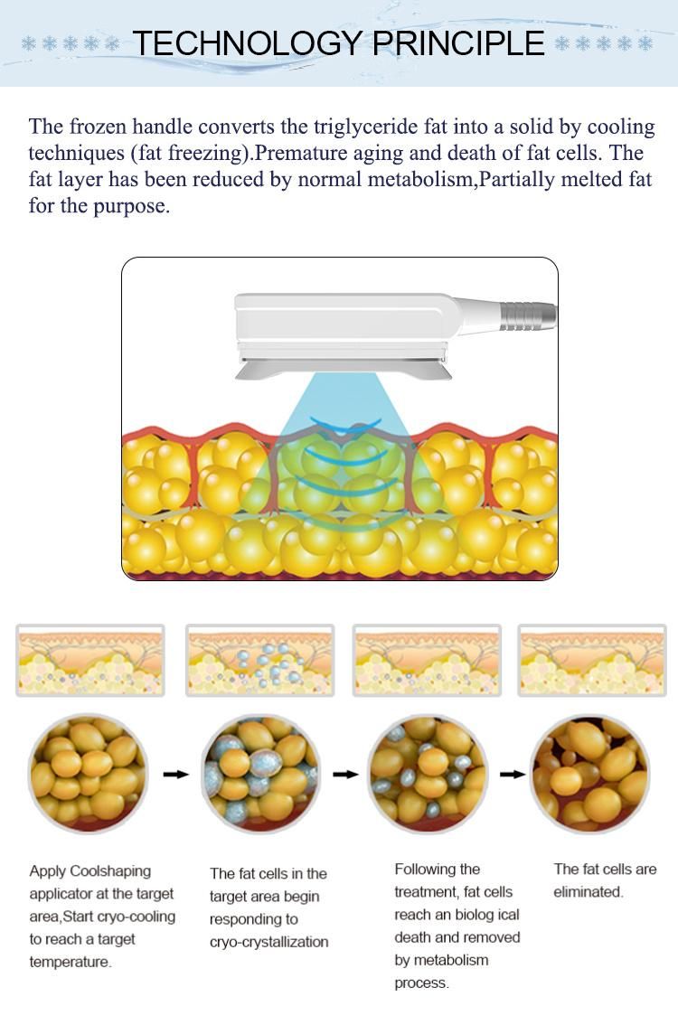 Wholesale 360 Cryolipolysis Body Slimming Cool Tech Fat Freezing Machine