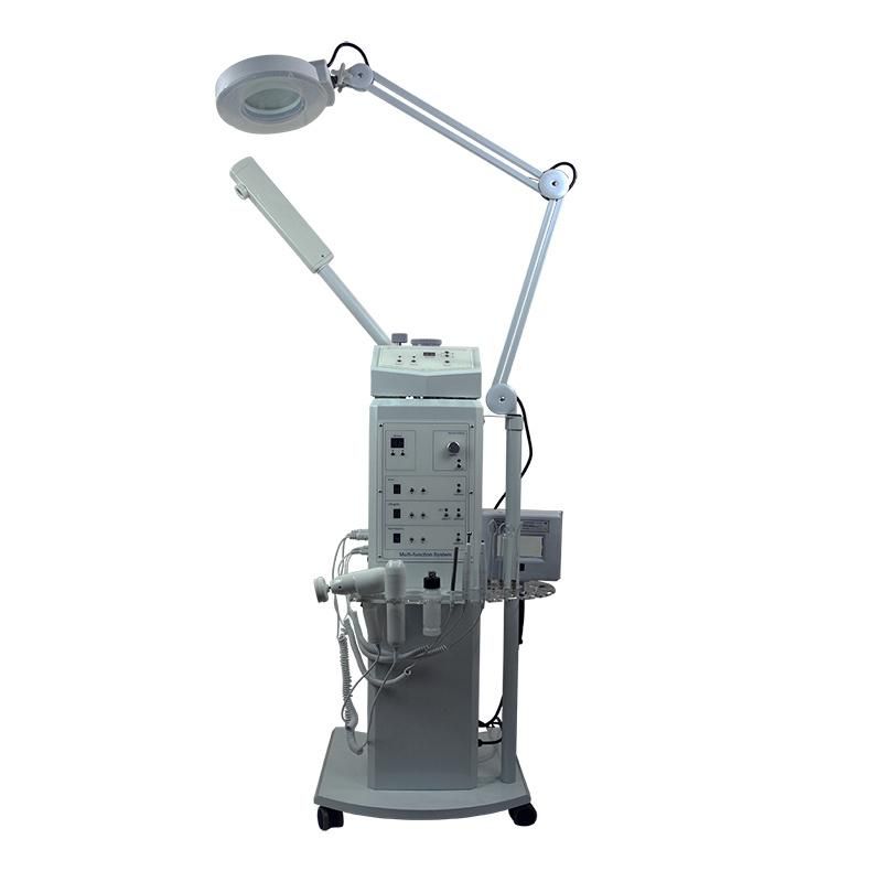 Multifunction Facial Beauty Machine Ozone Facial Steamer with Magnifying Lamp