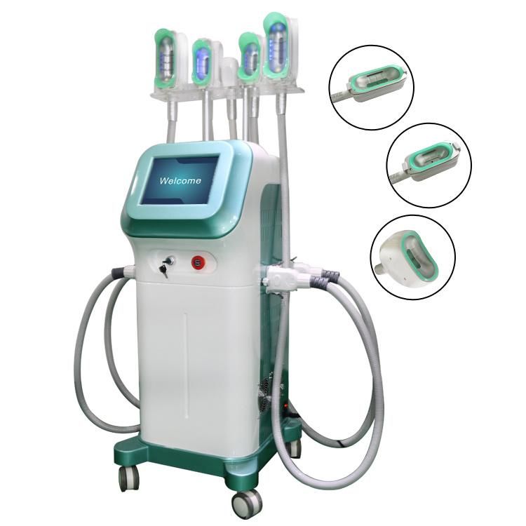 Hot Selling Products 2021 Factory Price 360 Criolipolisis Machine Cryolipolysis/ Fat Freezing Machine