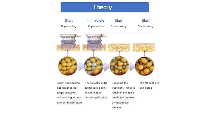 Cryolipolysis Weight Lossing Machine Body Shaper Cryolipo Machine
