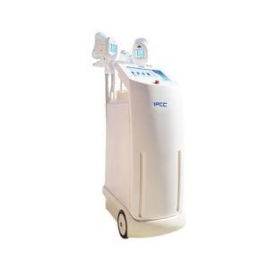 Cryolipolysis Body Sculpting Beauty Salon Machine with 4 Hanldes