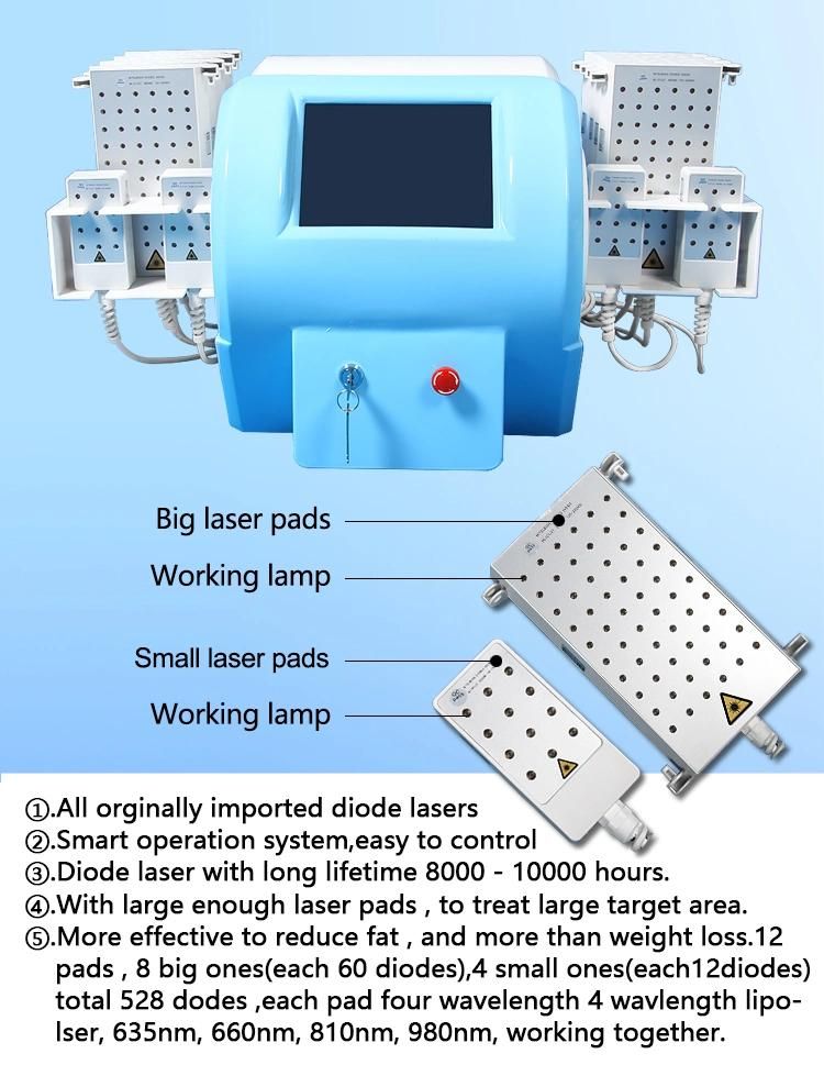 528PCS Diode Laser for Body Fat Burner Mitsubishi Lipolaser Slimming Beauty Machine