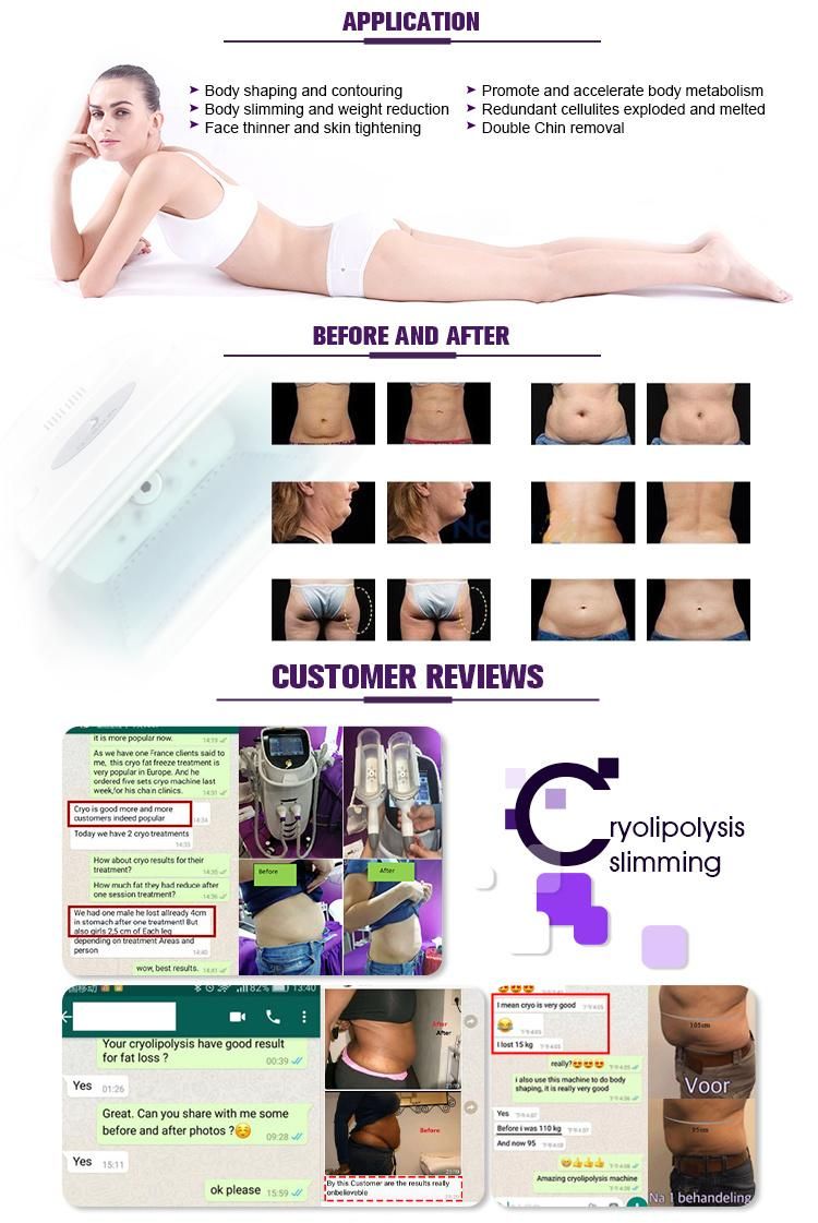 Body Slimming Weight Loss Fat Freeze Cryolipolysis Cold Tech Sculpting Equipment