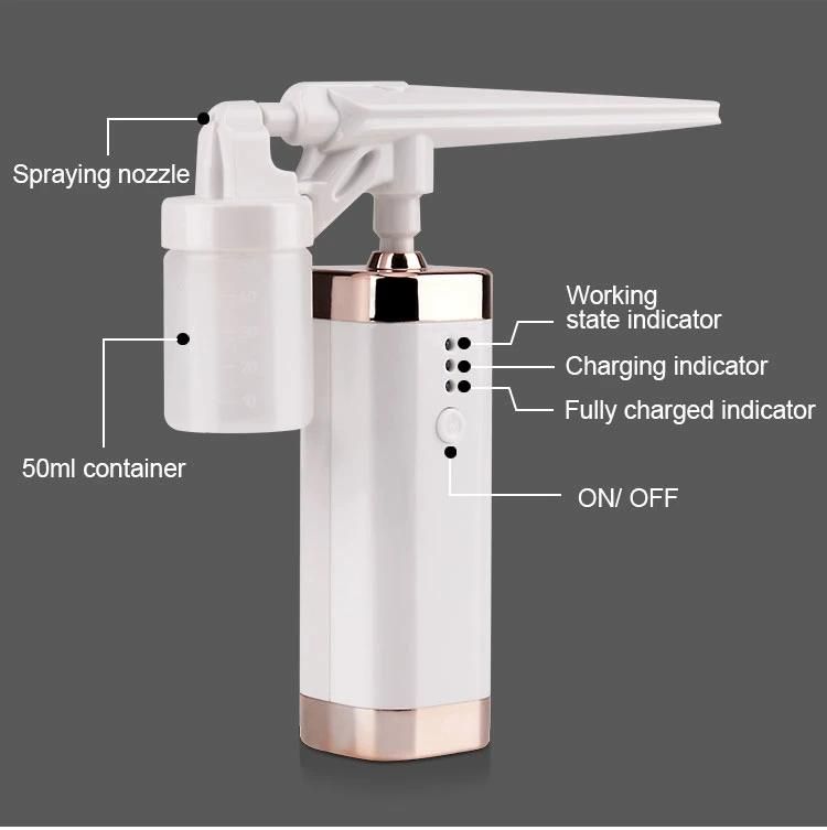 Portable Mist Sprayer Facail Steamer Oxygen Injection Instrument