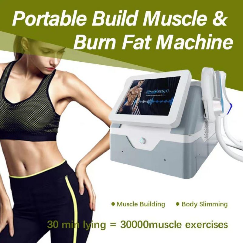 Four Handles Portable EMS Fat Burn Body Sculpting Med SPA Use Air Cooling