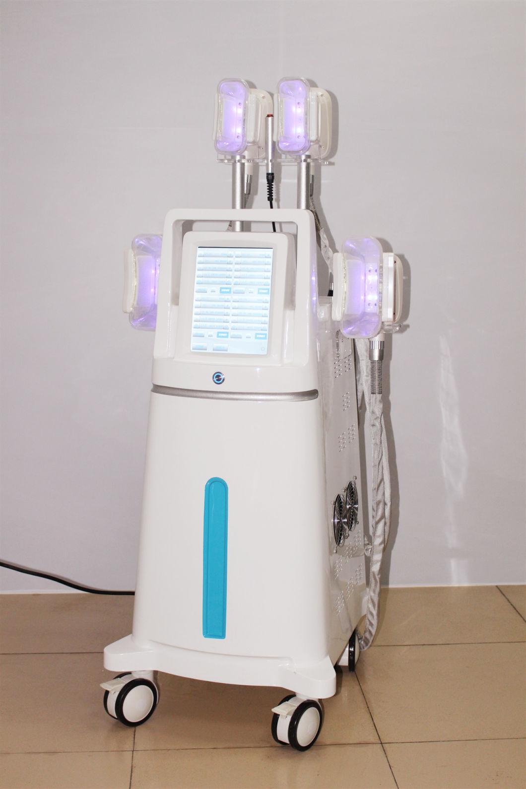 Hot Selling Factory Price Criolipolisis Machine Cryolipolysis/ Fat Freezing Machine