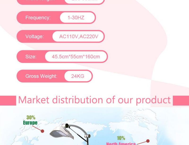 Skin Whitening and Skin Nursing LED Light Phototherapy PDT Beauty Equipment