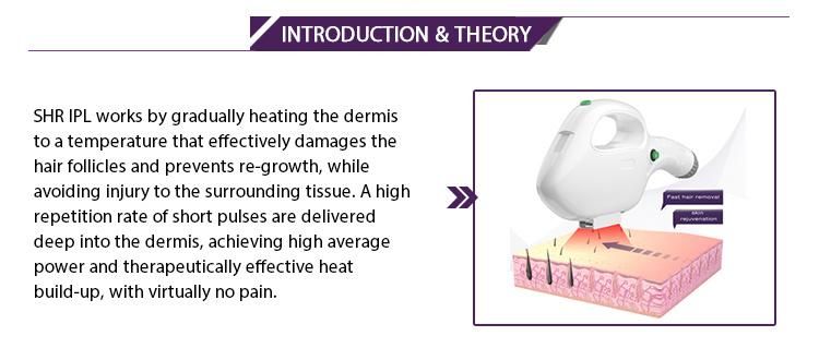 New Technology Shr IPL Hair Remove Wrinkle Remove Machine From Globalipl