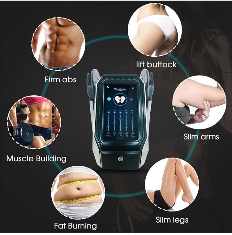 2 Handles Electromagnetic Fat Sculptor Home Use EMS Muscle Builder Body Firming Machine