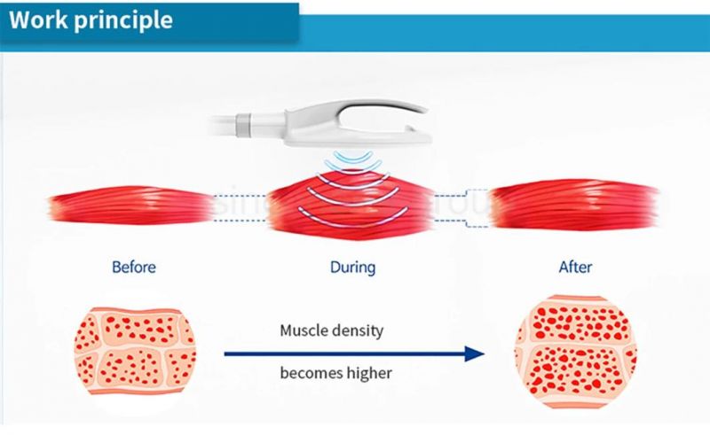 Non-Invasive Newest Aesthetics Build Muscle Burn Fat Body Cellusculpt Body Contouring Slimming Machine