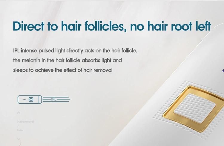 Painless IPL 600000 Flahses OEM Laser Hair Removal Home