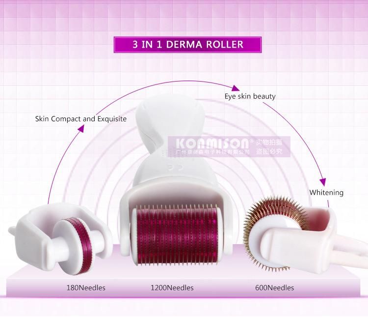 Portable Microneedle Roller 3 in 1 Titanium Zgts Derma Roller