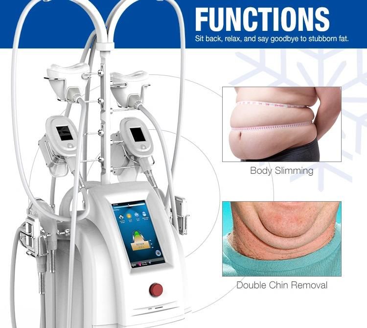 Etg50-5s High Quality Cryolipolysis Fat Freeze Double Chin Removal Weight Loss Equipment with 5 Handles