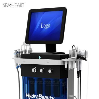 Salon Use Hydra Derma Brasion Oxygen Beauty Machine with CE