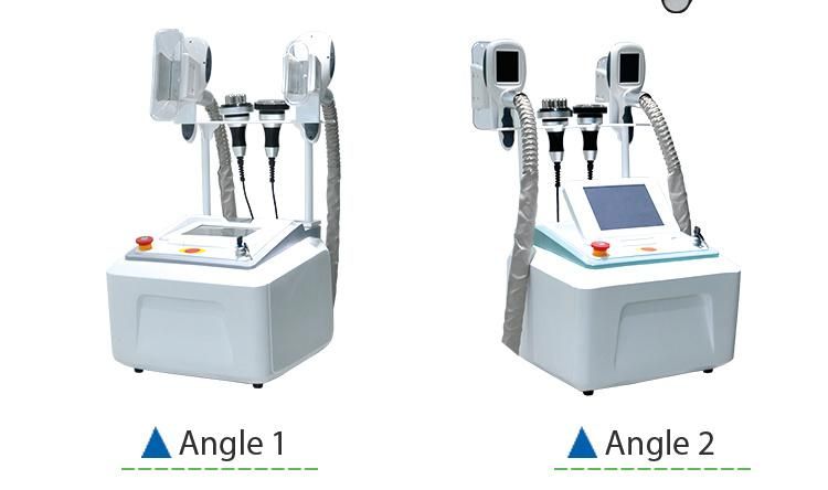 Portable Cryolipolysis Ultrasound Weight Loss for Fat Freeze Treatment