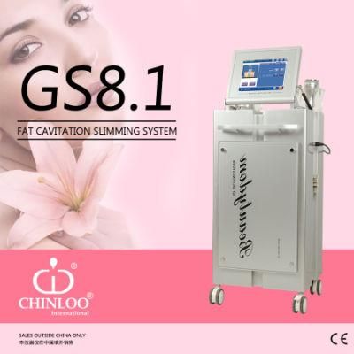 Ultrasonic Vacuum Cavitation Freeze Fat Slimming Instrument (GS8.1)