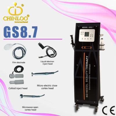 2015 Hotest High-Tech No Needle Mesotherapy Salon Beauty Equipment GS8.7