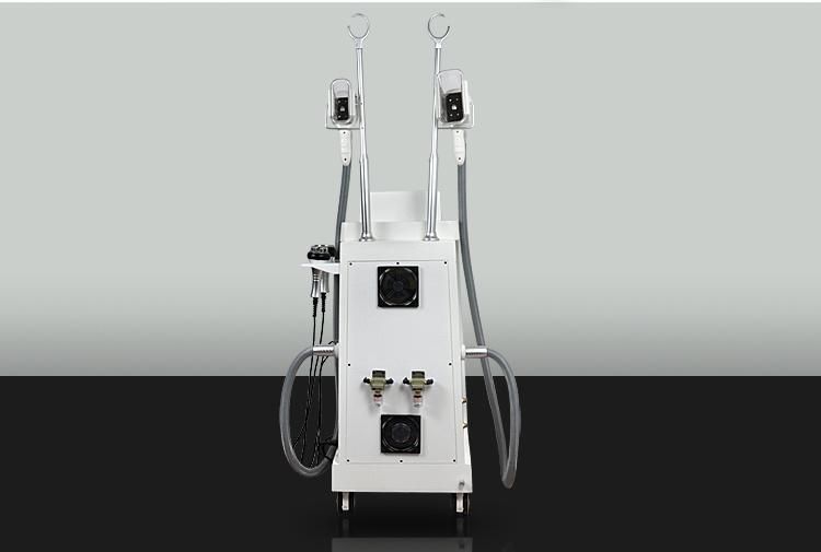 Factory Price! Fat Freezing Cryolipolysis Beauty Machine for Weight Loss