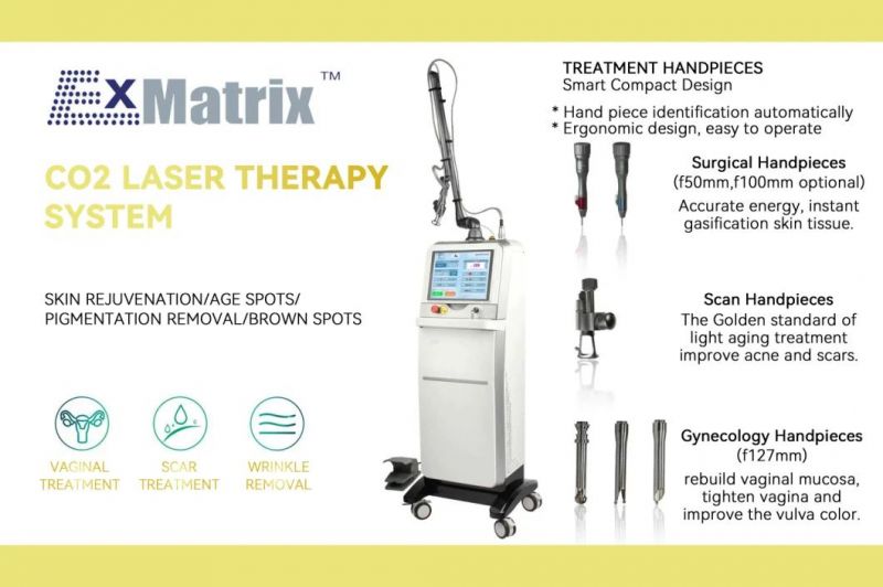 Professional IPL/CO2 Laser/Coolplas/Mini Laser/Loss Weight/Tattoo Removal/Skin Care Med Equipment